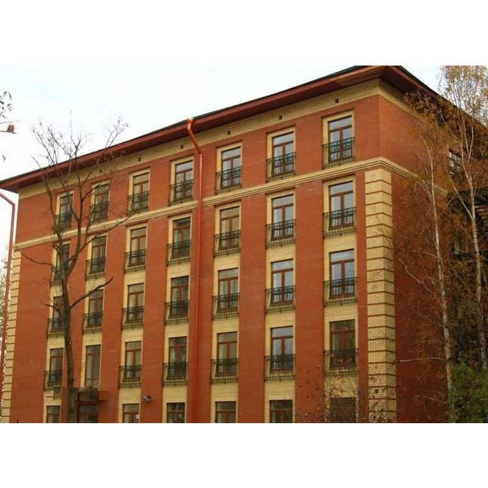 Камень поризованный ЛСР 2,1 НФ, M150, 250х120х140 мм