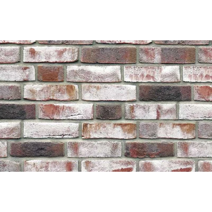 Кирпич облицовочный Roben Geestbrand grauweiss-bunt , 240х115х72 мм