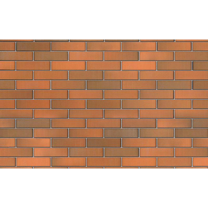 Кирпич БРАЕР кладка гладкий, 250х120х65 мм фото 2