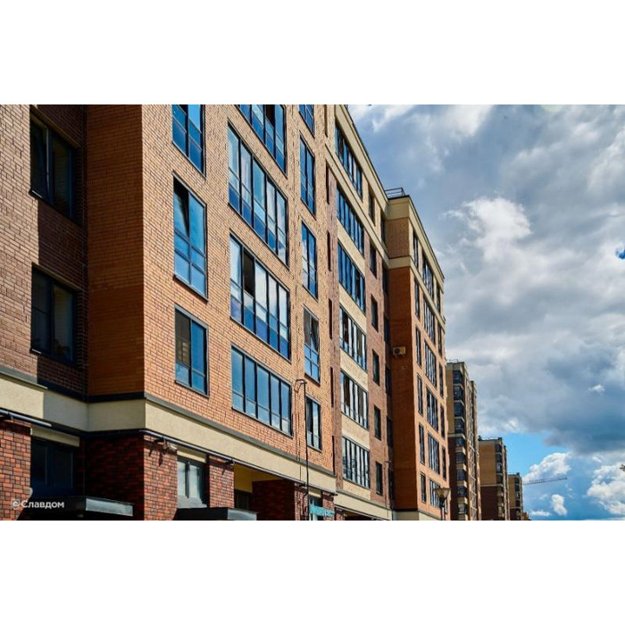 Кирпич БРАЕР кладка гладкий, 250х85х65 мм фото 5