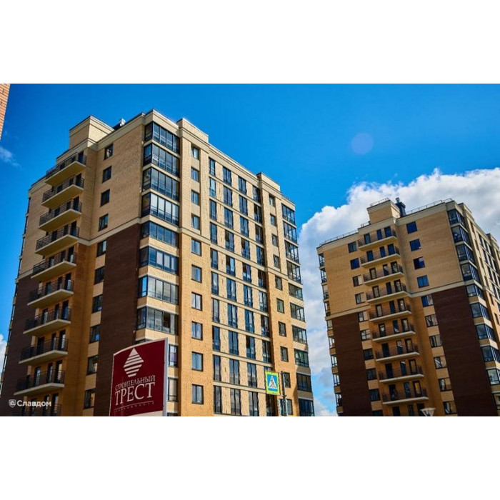 Кирпич БРАЕР кладка гладкий, 250х85х65 мм фото 6