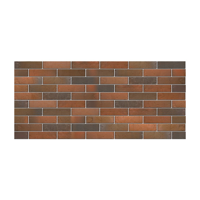 Кирпич БРАЕР кладка Глосса терра, 250х120х65 мм фото 5