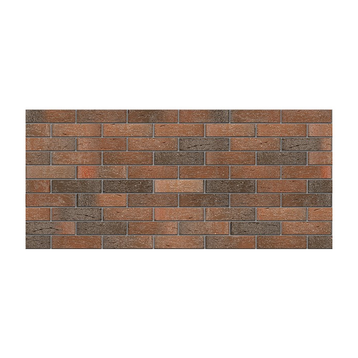 Кирпич БРАЕР кладка риф с песком, 250х120х65 мм фото 6