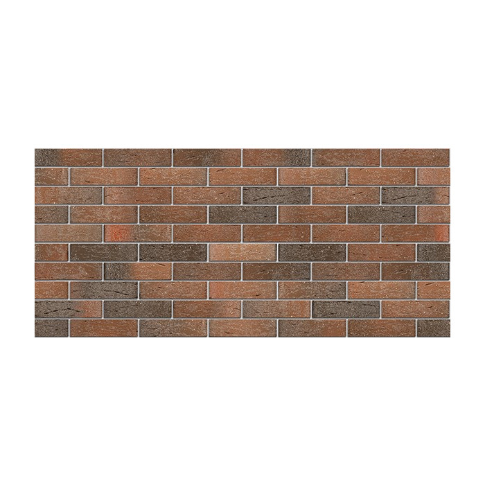 Кирпич БРАЕР кладка риф с песком, 250х120х65 мм фото 7