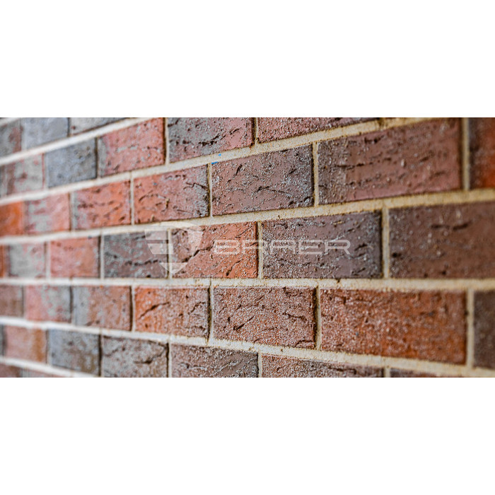 Кирпич БРАЕР кладка риф с песком, 250х120х65 мм фото 11