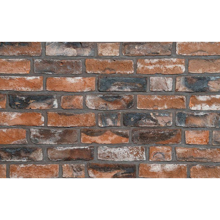 Кирпич облицовочный Hans Bekker 1900, 215х51х65 мм фото 8