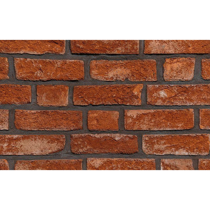 Кирпич облицовочный Hans Bekker 1921, 215х51х65 мм фото 4