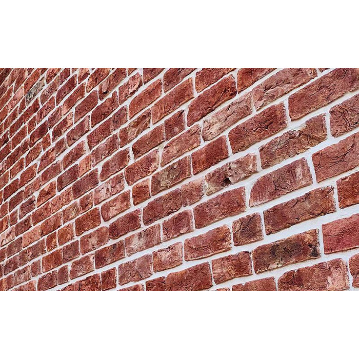 Кирпич облицовочный Rightbrick, Моне, 210х100х65 мм фото 2