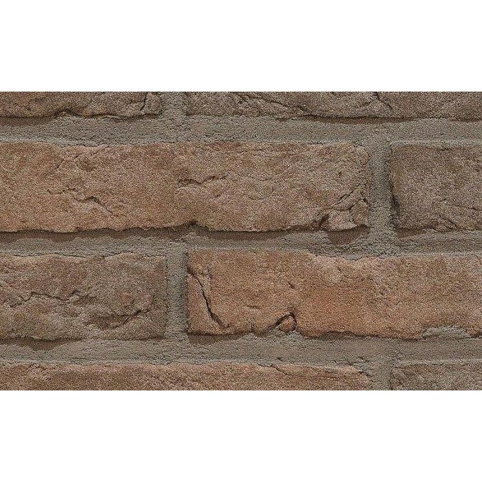 Кирпич облицовочный Terca Agora Porfiergrijs, 215х102х50 мм фото 2