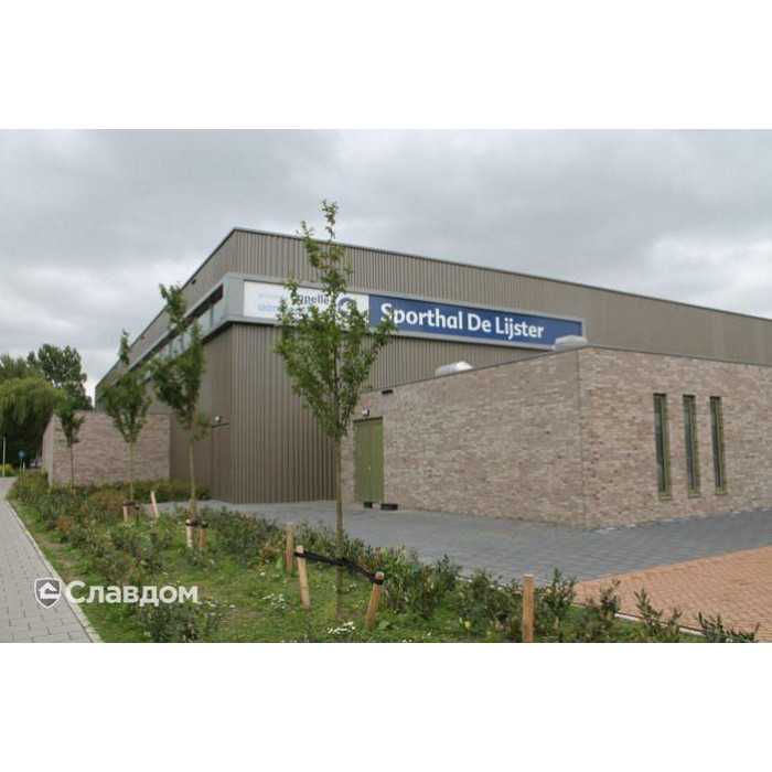 Кирпич облицовочный Terca Birchwood 240х90х40 мм фото 10