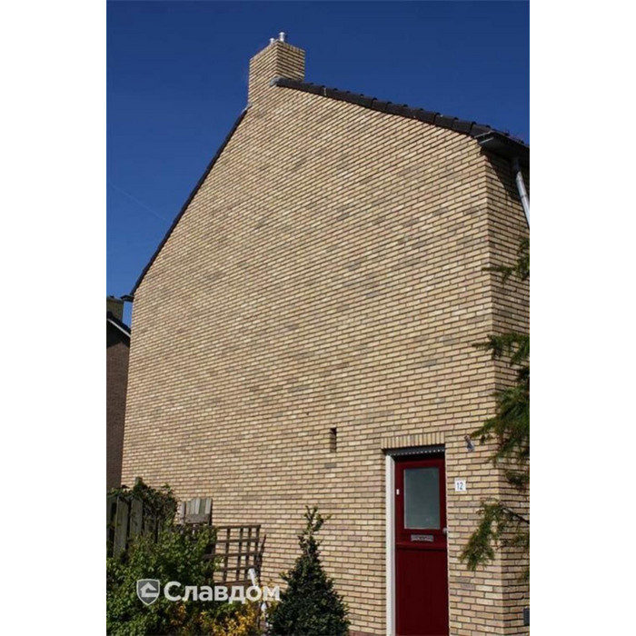 Кирпич облицовочный Terca Canyon Falls 210х100х50 мм фото 2