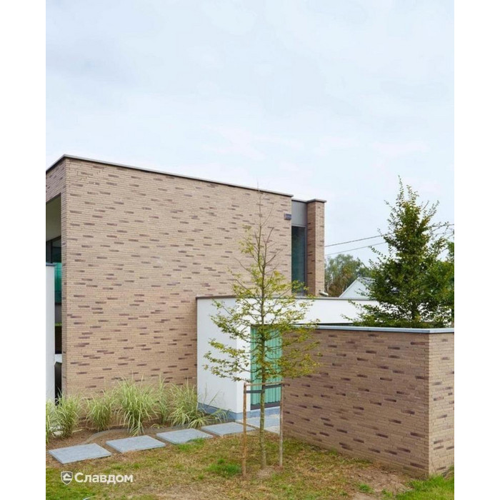 Кирпич облицовочный Terca Linnaeus Salix, 288х88х48 мм фото 7