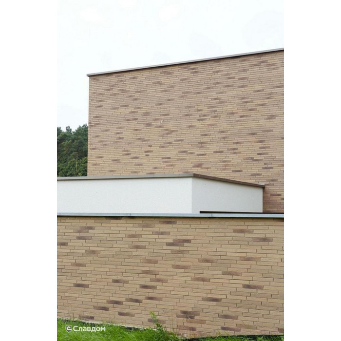 Кирпич облицовочный Terca Linnaeus Salix, 288х88х48 мм фото 9