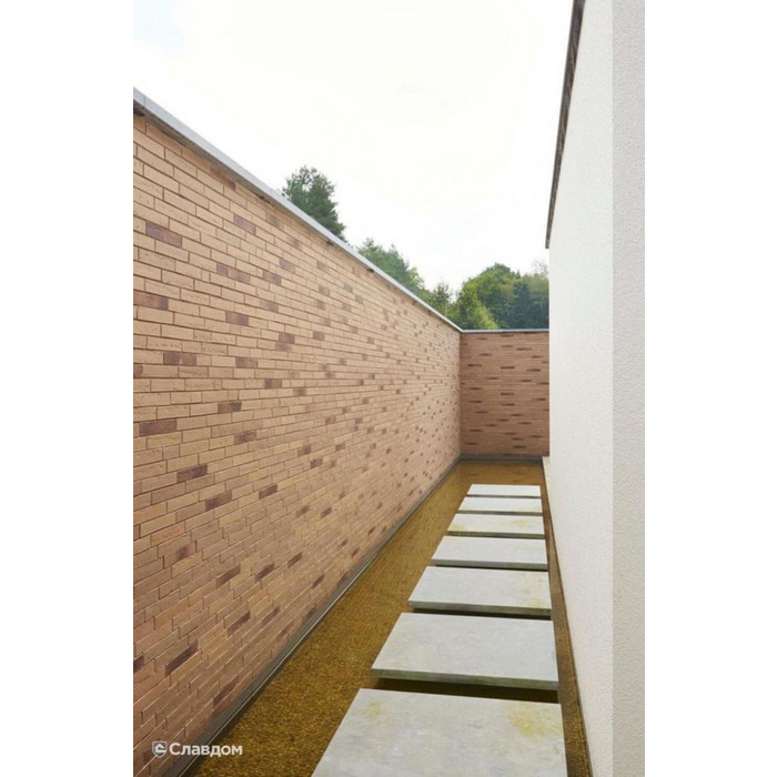 Кирпич облицовочный Terca Linnaeus Salix, 288х88х48 мм фото 8