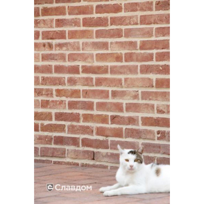 Кирпич облицовочный Terca Opus, 215х102х65 мм фото 10