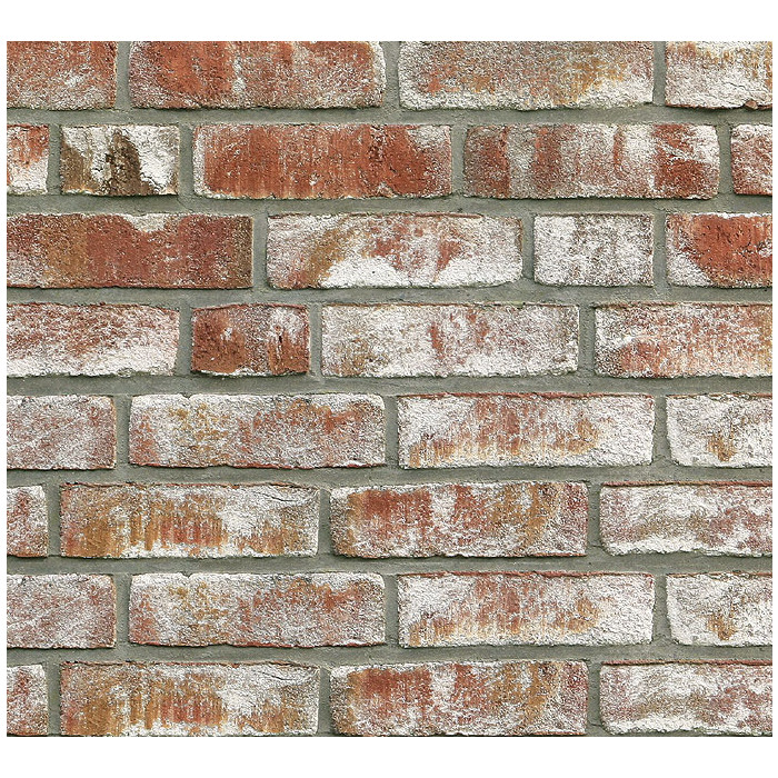Кирпич Roben Geestbrand bunt-weiss, 240х115х71 мм фото 5