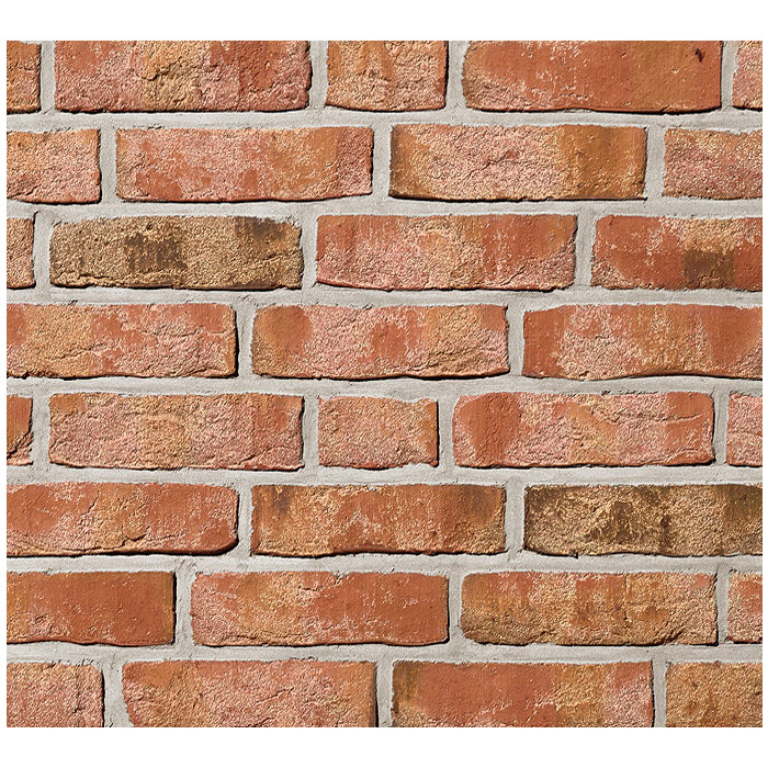 Кирпич Roben Moorbrand lehm-bunt, 240х115х71 мм фото 8