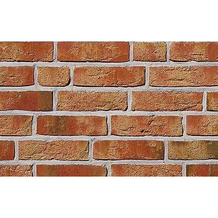 Кирпич Roben Moorbrand sandgelb-bunt, 240х115х71 мм фото 2