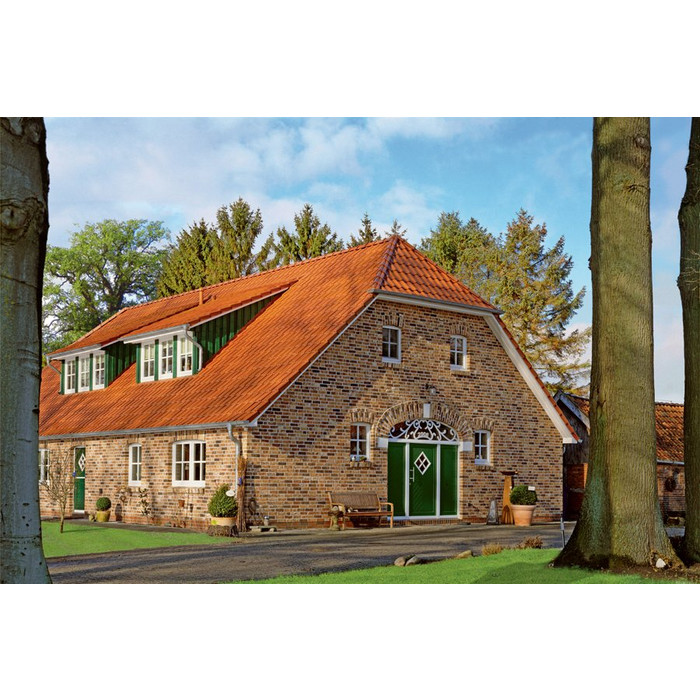 Кирпич Roben Moorbrand torf-bunt, 240х115х71 мм фото 7