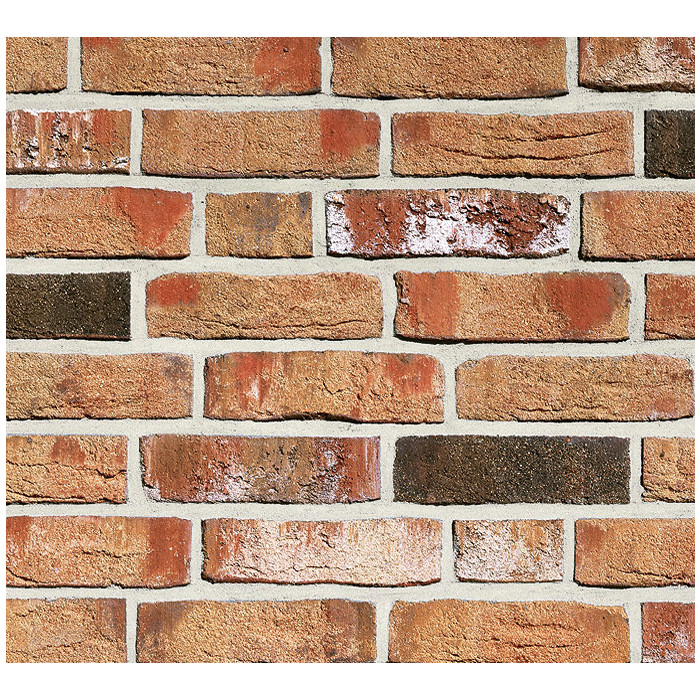 Кирпич Roben Moorbrand torf-bunt, 240х115х71 мм фото 9