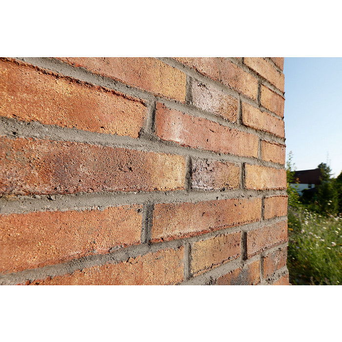 Кирпич Roben Wiesmoor erd-bunt, 240х115х71 мм фото 5