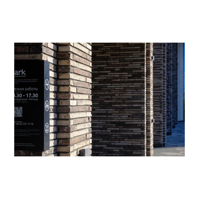 Кирпич длинного формата Тандем (Донские зори) Бавария, 290х90х40 мм фото 2