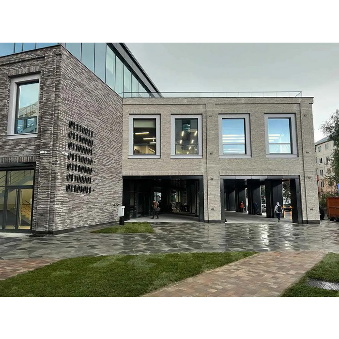 Кирпич длинного формата Тандем (Донские зори) Петерсенъ, 290х90х40 мм фото 3