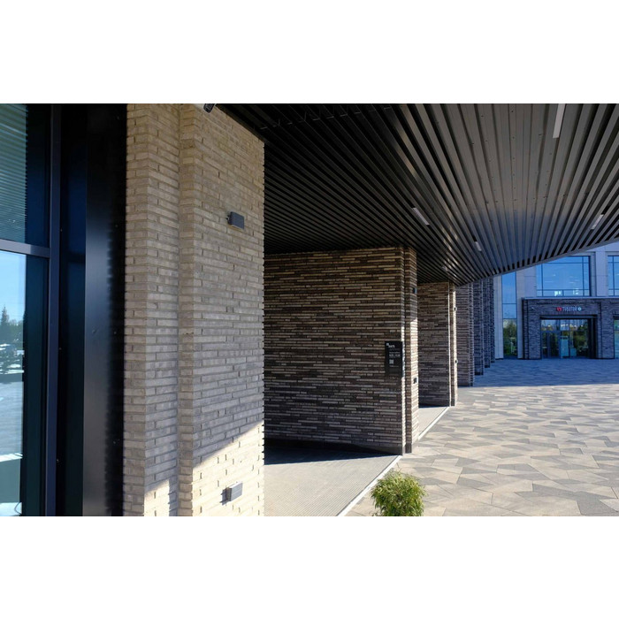 Кирпич длинного формата Тандем (Донские зори) Плутонъ, 290х90х40 мм фото 3