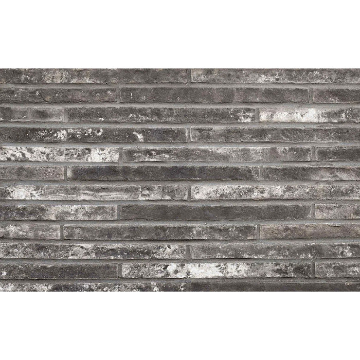 Кирпич длинного формата Тандем (Донские зори) Северъ, 290х90х40 мм фото 2