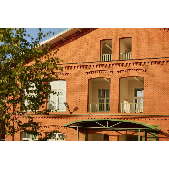 Кирпич полнотелый ЛСР красный гладкий, F50, 250х120х65 мм фото 9