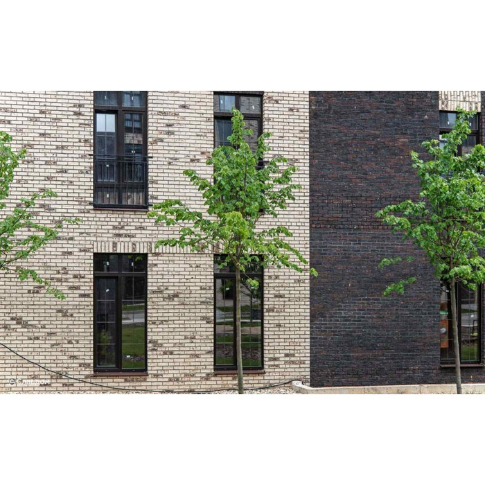 Кирпич облицовочный Terca Thorn Wit Gesinterd, 215х102х65 мм фото 7