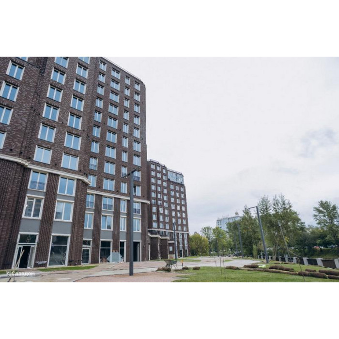 Печной кирпич полнотелый Lode Asais Brunis шероховатый, 250х120х65 мм фото 9