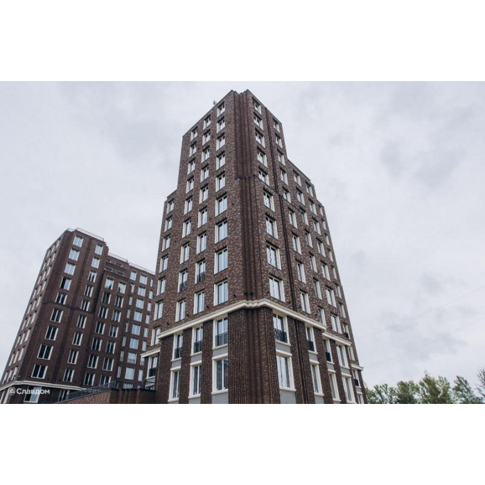 Печной кирпич полнотелый Lode Asais Brunis шероховатый, 250х120х65 мм фото 6