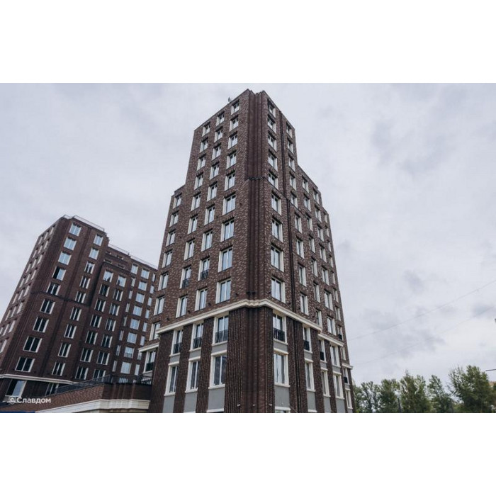 Печной кирпич полнотелый Lode Asais Brunis шероховатый, 250х120х65 мм фото 8