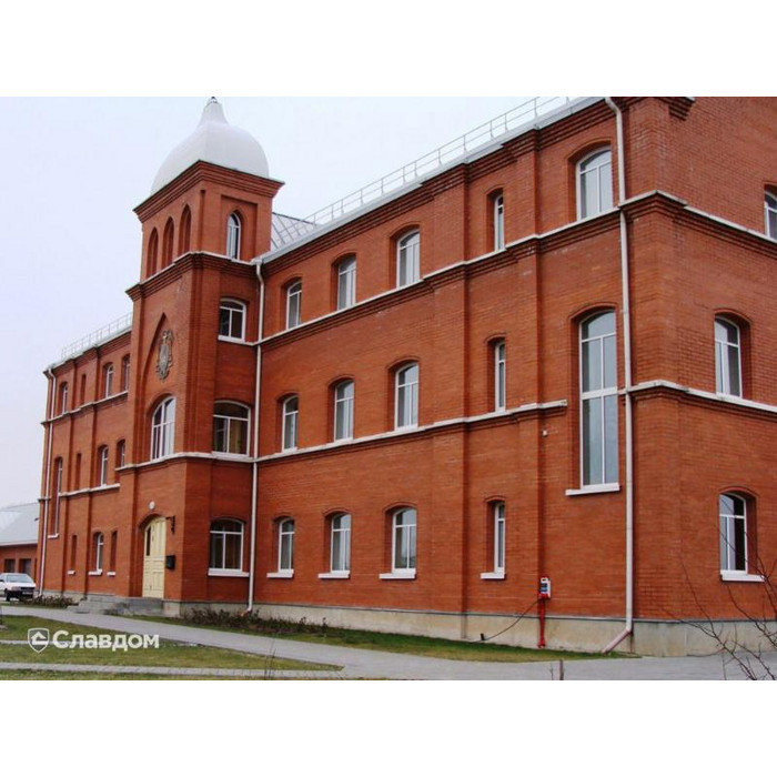 Печной кирпич полнотелый Lode Janka Vecais, 250х120х65 мм фото 5