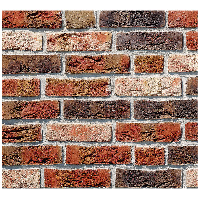 Кирпич Roben Dykbrand flaemisch-bun, 240х115х71 мм фото 2