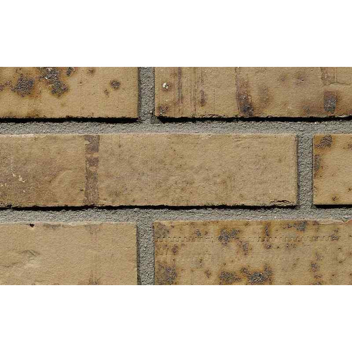 Кирпич облицовочный Terca Putty Multi Gesinterd 210х100х50 мм фото 2