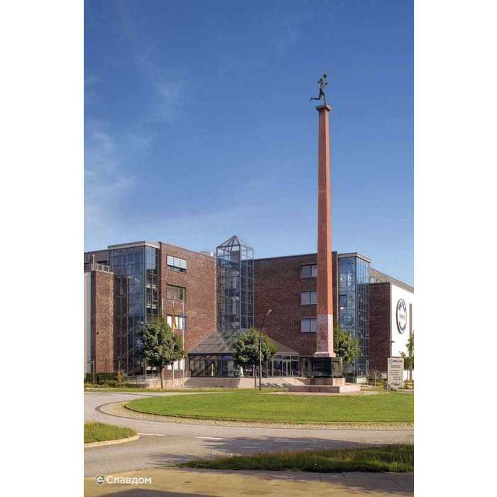 Кирпич Roben Adelaide glatt клинкерный, 240х65х71 мм фото 10