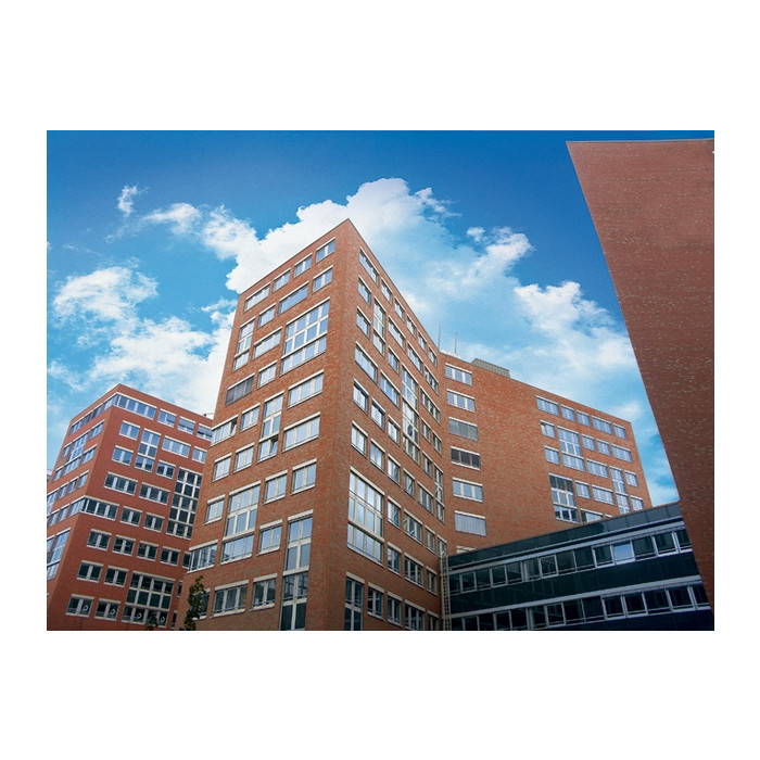 Кирпич Roben Melbourne glatt клинкерный, 240х65х71 мм фото 3