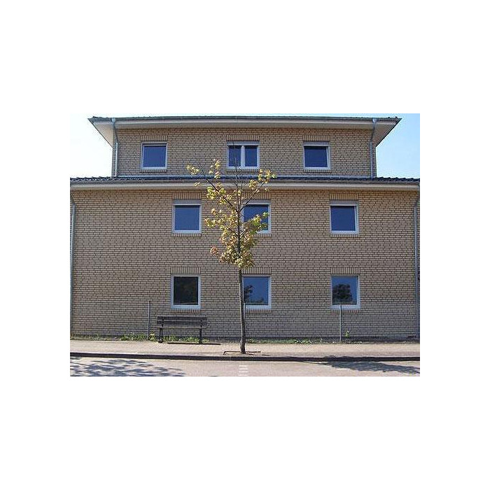 Кирпич Roben Sorrento sand-weiss glatt клинкерный, 240х115х71 мм