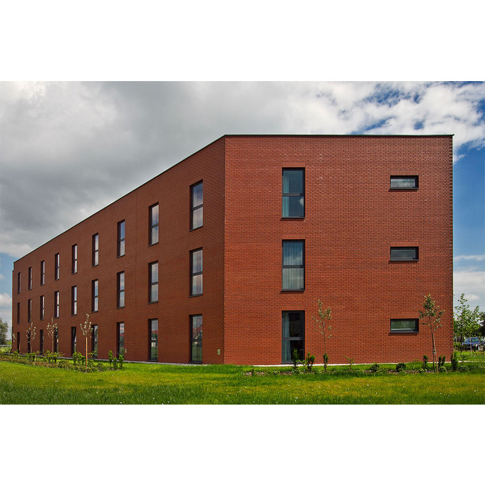 Кирпич Roben Melbourne glatt клинкерный, 365х115х52 мм фото 5