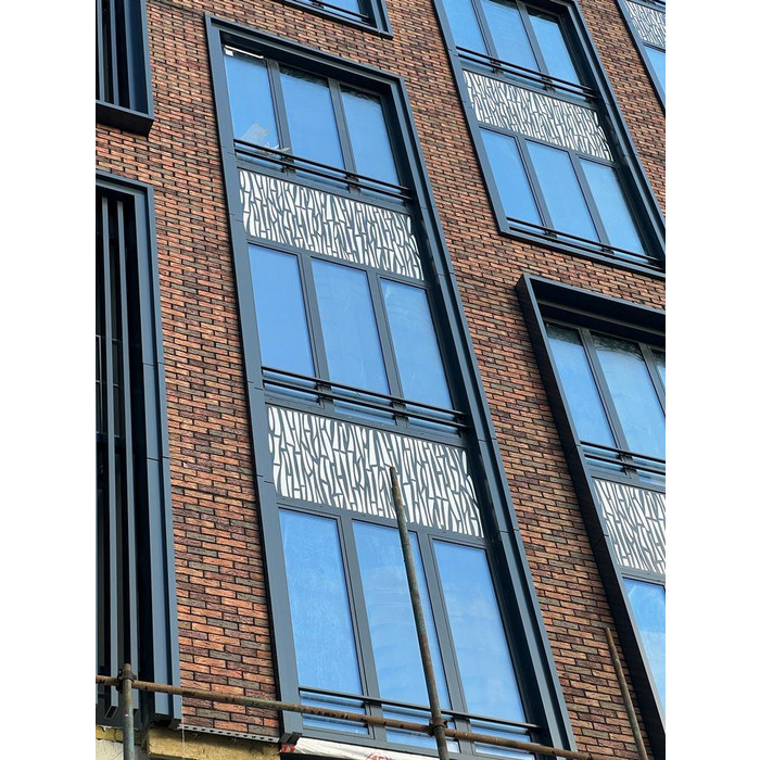 Кирпич клинкерный Faber Jar Ладожский полнотелый 250х120х65 мм фото 5