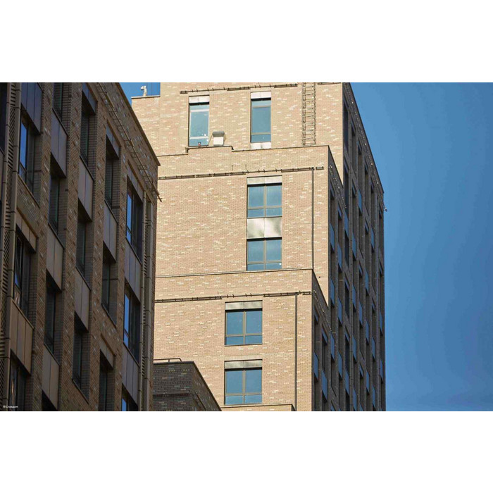 Кирпич клинкерный полнотелый ЛСР светло-серый, 250х120х65 мм фото 4