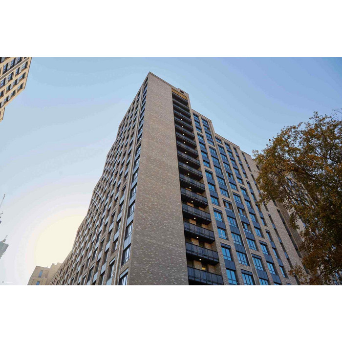 Кирпич клинкерный полнотелый ЛСР светло-серый, 250х120х65 мм фото 7