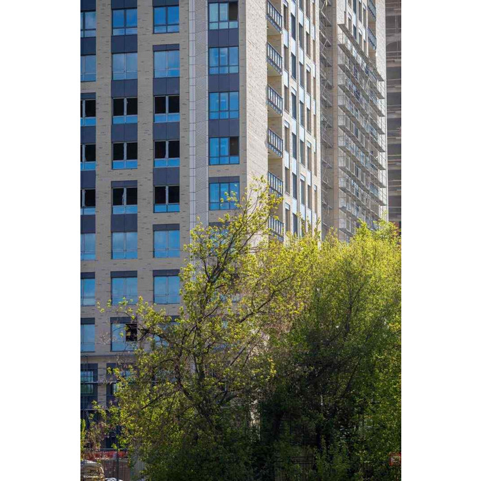 Кирпич клинкерный полнотелый ЛСР светло-серый, 250х120х65 мм фото 9