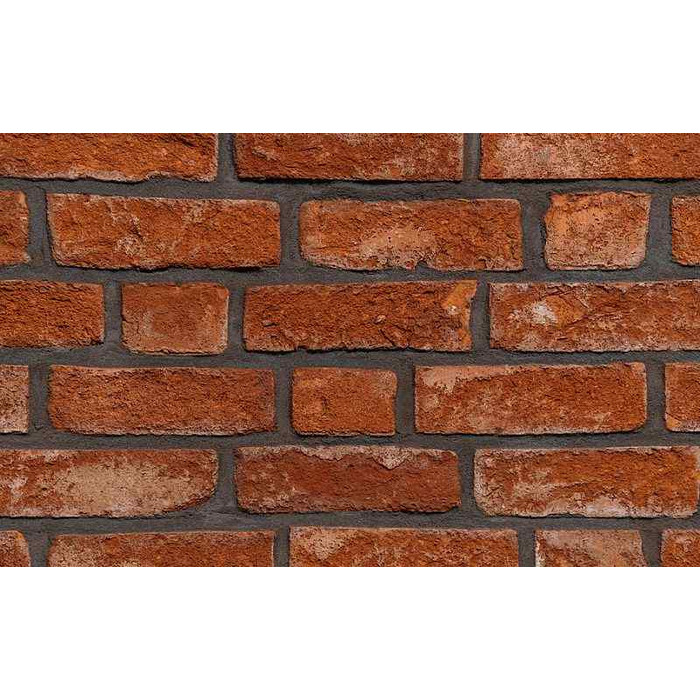 Кирпич облицовочный Hans Bekker 1921, 215х102х65 мм фото 4