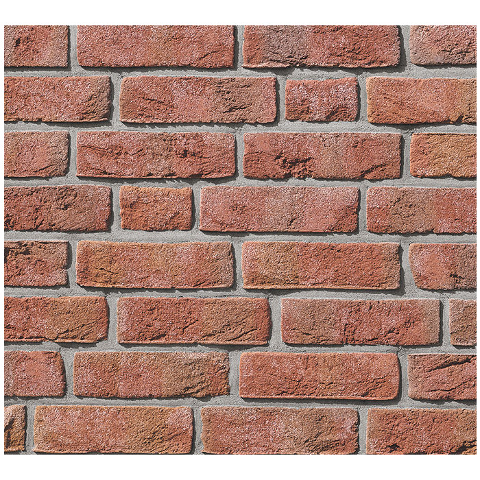 Кирпич Roben Formback hellrot-bunt, 240х115х71 мм фото 2