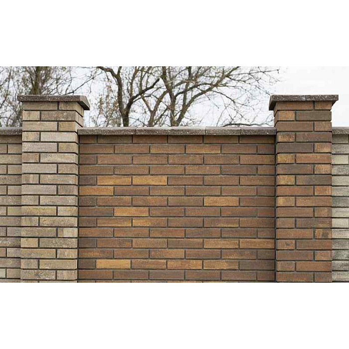 Кирпич облицовочный Выбор КСЛ 85 Премиум Осень, 250х85х65 мм фото 3