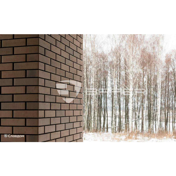 Кирпич БРАЕР кладка мокко, 250х85х65 мм фото 6
