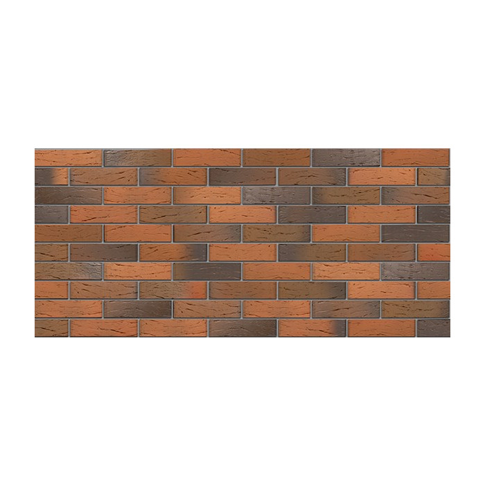Кирпич БРАЕР кладка Глосса риф, 250х120х65 мм фото 5